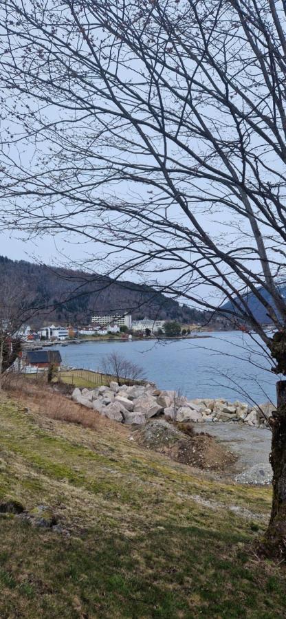 Frydenlund Villa Balestrand Ngoại thất bức ảnh