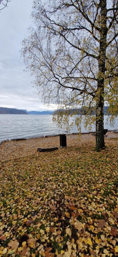Frydenlund Villa Balestrand Ngoại thất bức ảnh