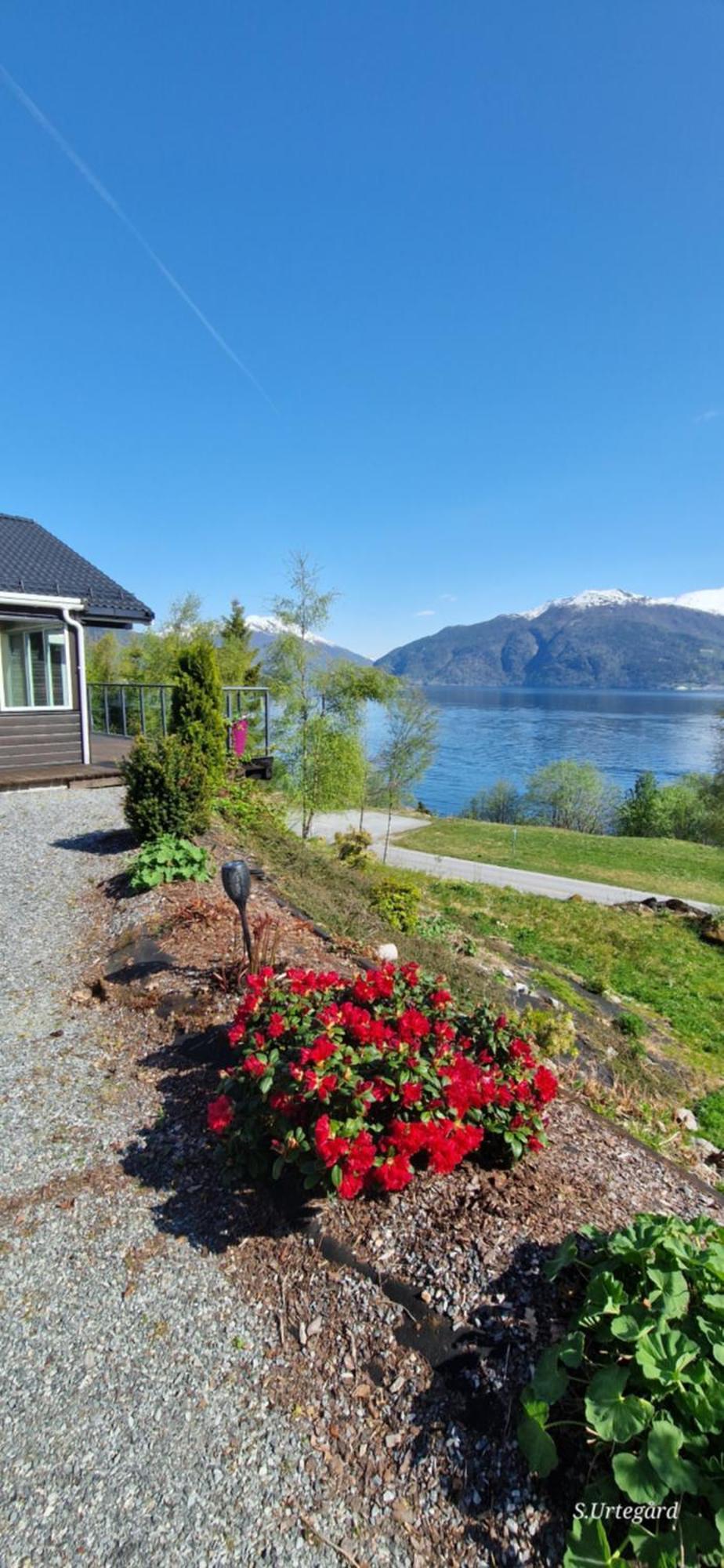 Frydenlund Villa Balestrand Ngoại thất bức ảnh