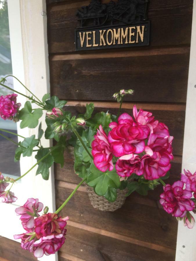 Frydenlund Villa Balestrand Ngoại thất bức ảnh